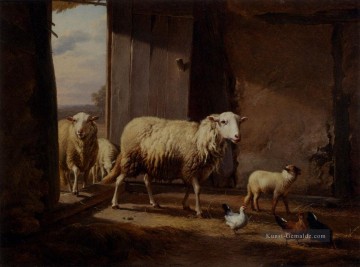 rückkehr kalvarienberg Ölbilder verkaufen - Rückkehr von der Weide Eugene Verboeckhoven Tier Schaf